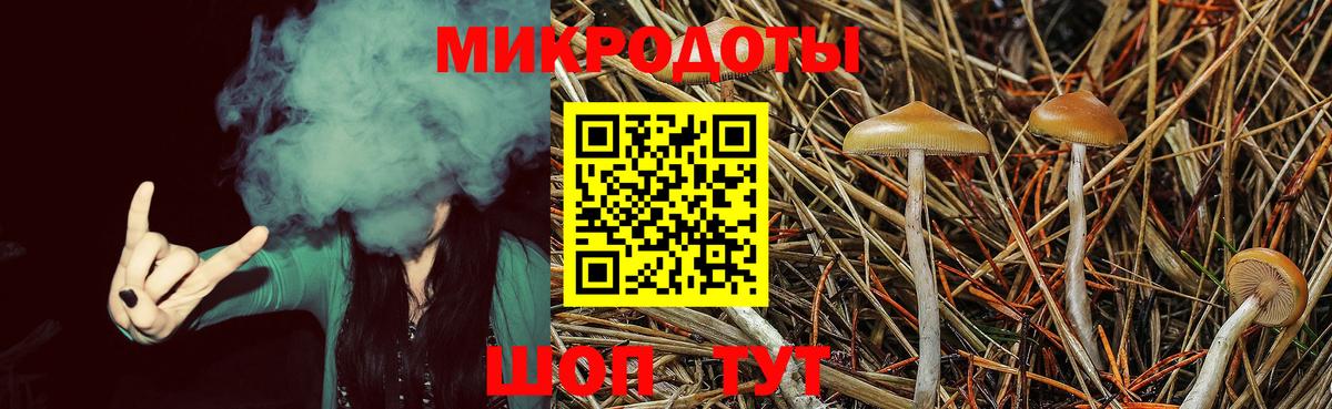 Галлюциногенные грибы MAGIC MUSHROOMS Астрахань